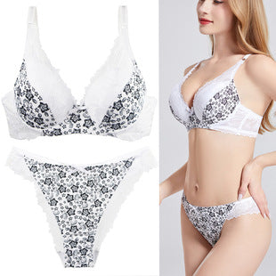 2026 Factory Direct Sales Foreign Trade European and American Lingerie Plus Size Sexy Bra Set Amazon Hot-Selling Dropshipping